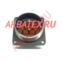 ШРГ48П20ЭШ1 вилка блочная фото